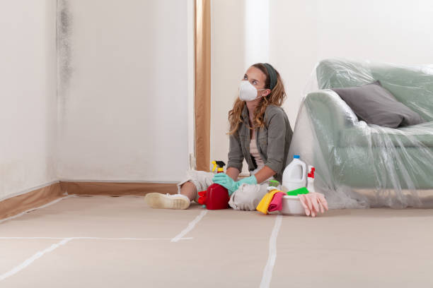 Reliable Commercial Mold Remediation contractor in Riva, MD by WQB Mold Removal